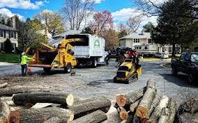 Best Arborist Consultation Services  in USA